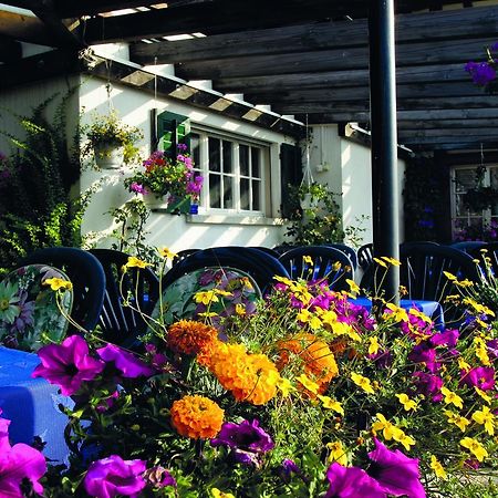 Hotel Garni Sonne Münsterlingen Esterno foto